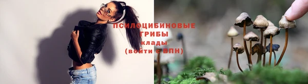 jwh Иннополис