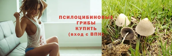 стафф Инсар