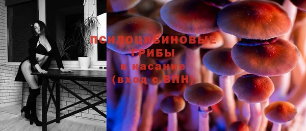 стафф Инсар